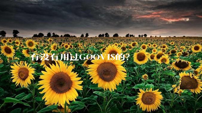 有没有用过GOOVIS的？