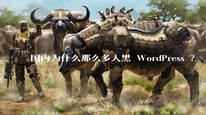 国内为什么那么多人黑 WordPress ？