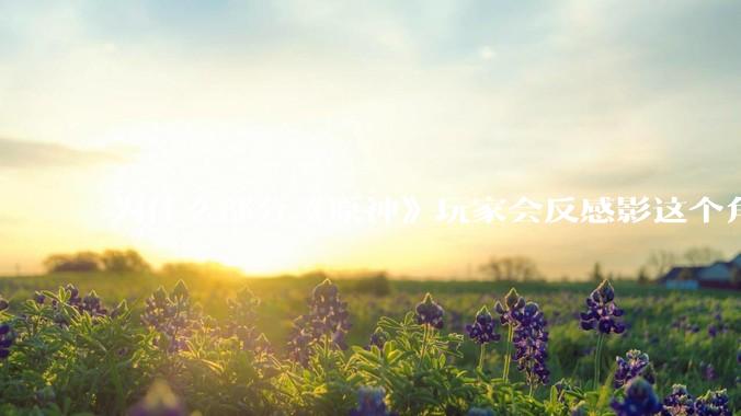 为什么部分《原神》玩家会反感影这个角色？