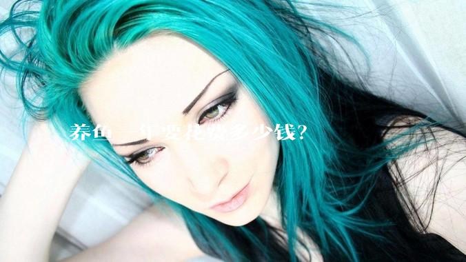 养鱼一年要花费多少钱？